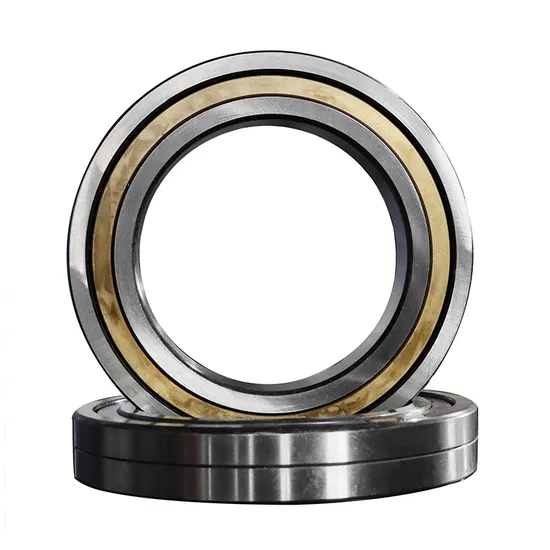 SKF Bdl Nn3030 Nn3032 Nn3034 P5 P4 W33 Bearings