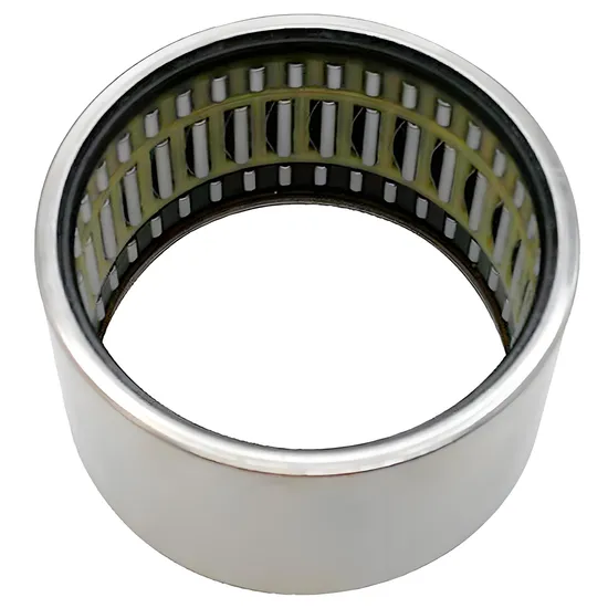 SKF Bdl Na4900 Na4901 Na4902 Needle Roller Bearings