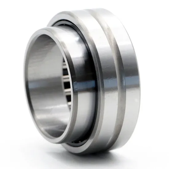 SKF NA4872 NA4876 Needle Roller Bearings for Textile Machinery