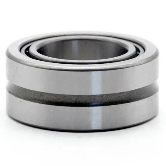 Bdl Needle Roller Bearing Rna499A Rna4900X2a Rna597A