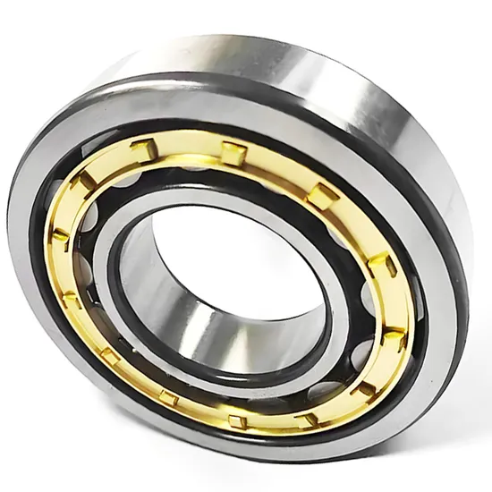 SKF High Precision Cylindrical Roller Bearing NN3011 NN3012 NN3013 Bdl