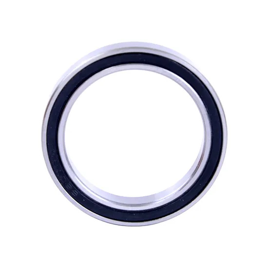 SKF S6303zz S6304zz S6305zz Stainless Steel Deep Groove Ball Bearing - Image 4