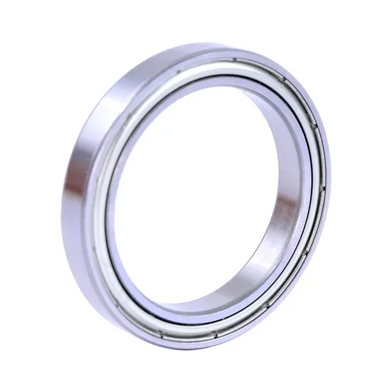 SKF S6303zz S6304zz S6305zz Stainless Steel Deep Groove Ball Bearing